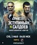 Турнир ONE Fight Night 31